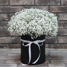 Цветочная композиция из Гипсофила в шляпной коробке в Ильинский