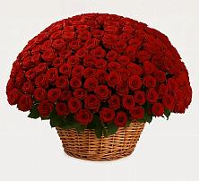 Премиум букет из: Розы в Ильинский